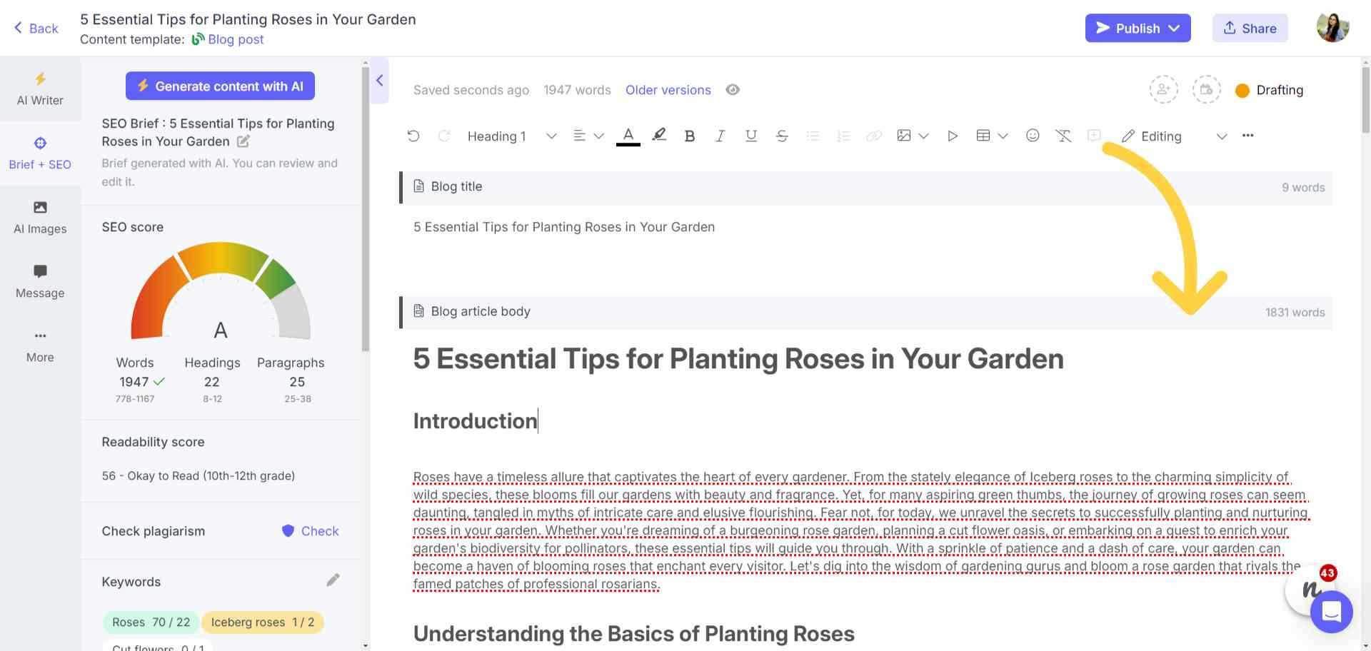 AI-generated long blog article